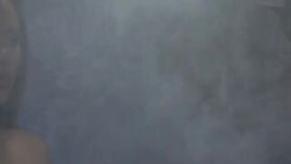 Kinky Asian Whore House video