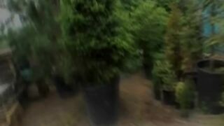 Girl Shows Her Tits And Fuck In Public video