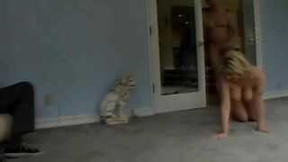 Busty Blonde Enjoyed Three Cocks video