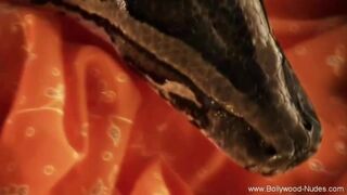 Feeling The Erotic Bollywood Night Away To Feel The