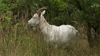 Public – Julia has anal sex before cum in mouth