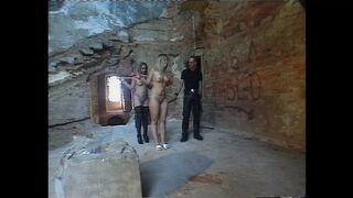 UN GIORNO DI ORDINARIA FOLLIA - (Full Movie in HD Version