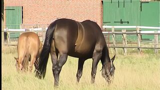 junge naturvebundenes teen mastubiert gerne im freien