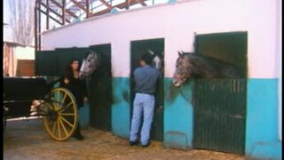 Die zigeuner kojigin (Full Movie)