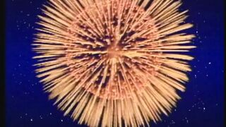 Das perfekte Anal-Ende (Full Movie)