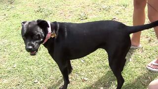 Ryder Skye and Joselyn George are very sexy lesbians