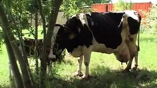 Hardly Fucke at the Family Farm!