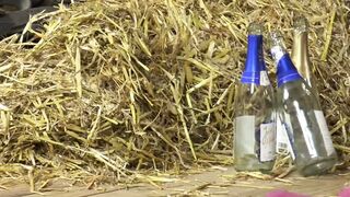 Penner Gluck (Full Movie)