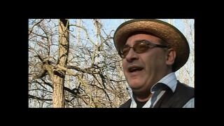 Padre padrone l'epilogo (Full Original Movie in HD Version)