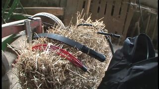 Zucht u Ordnung 2 (Full Movie)