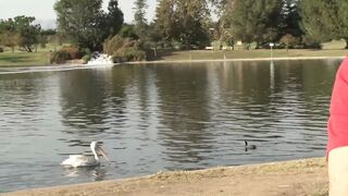 Please fuck my WIFE!!! - vol #01