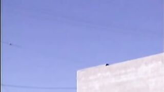 Horny Cheerleader Katie Hot Blowjob