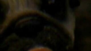 BBW Gaborne Hot Striptease