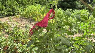 German mature loving taking it outdoor on a daily sun #4