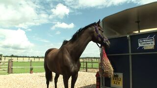 Busty brunette gives head before fucking with a horny dude