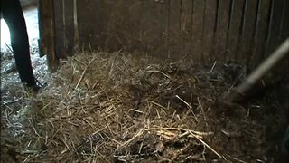 Der Sadisten-Zirkel 10 (Full Movie)