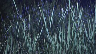 Newly wedded couple fuck fiercely in their honey moon