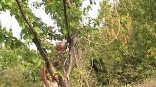 Italian amateur sex scenes of hot homemade embraces of