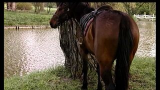 Backey Jakic (Full Movie HD)