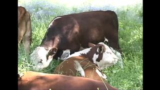 Just a fucking Nympho!!! - Vol. #23