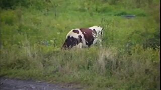 Sudden Big Love in Me - Episode 5