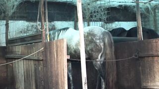 Various Artist - Hey My Grandma Is A Whore 21