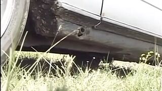 WILD BISEX LOVERS Vol.2 - Episode 3