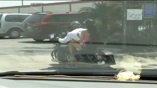 Nadia Natalli takes a huge cock in her hot pussy