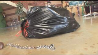 Black Monster Cocks VS Nymphos!!! - Vol. #01