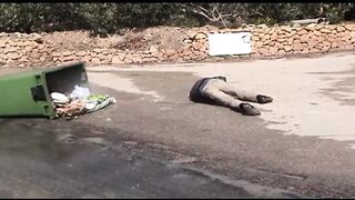 Extreme Activity (Full Movie)