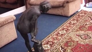 Figa Fontana - Episode 2