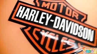 Harley Davidson sex