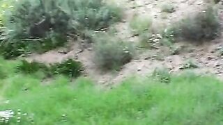 Naughty MILF Gang Banged