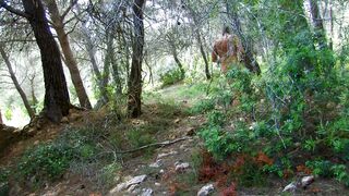 This fantastic slut is ready to go wild with her man