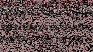 Thick Redhead PAWG Girl Banana Fruit Masturbation