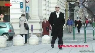 Prowling the streets for tasty birds