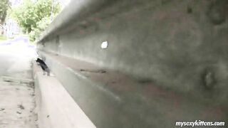 Double roadside feature