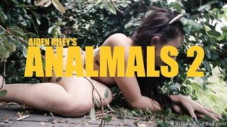 Analmals #02
