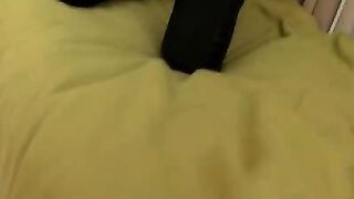 Sweet cutie with ponytails fucked