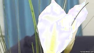 Innocent teen fucking