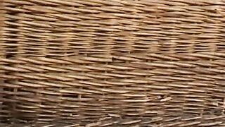 Flexible babe gets fucked