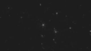 The Erotic World Of Shayla LaVeaux