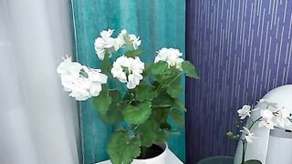 Sweet girl sucks cock and fucks